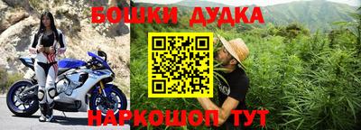 спиды Новодвинск