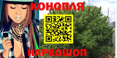 спиды Новодвинск